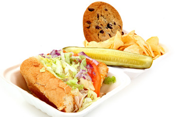 Deli Turkey Sandwhich with Pickle Spear and Chocolate Chip Cooki