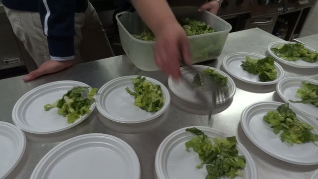 insalata