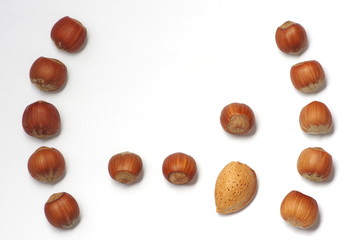 parentesi tonde alle nocciole