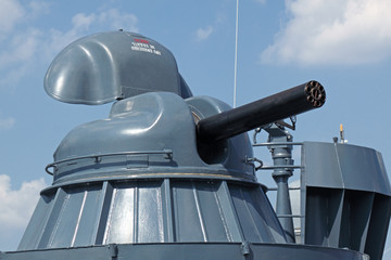 Cannon