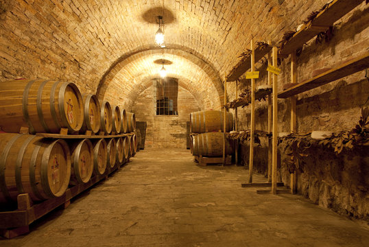 Wine cellar 2