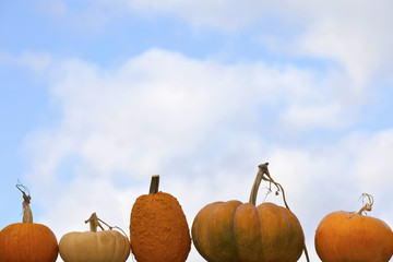 Pumpkins on the sky background