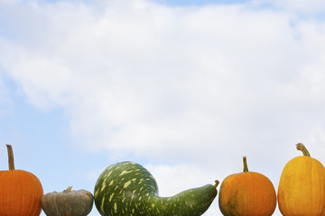 Pumpkins on the sky background