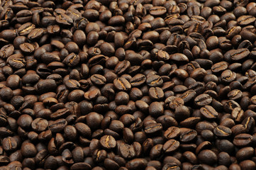 Fototapeta premium coffee beans texture