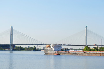 Cargo ship and cable-braced bridge