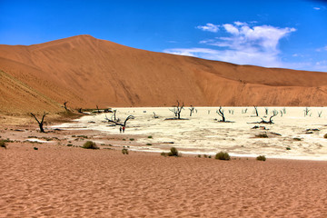 deadvlei in the area of sossuvlei namibia africa