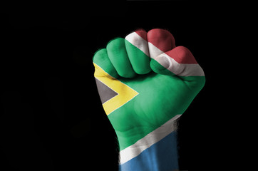 Fist painted in colors of south africa flag