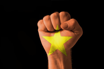 Fist painted in colors of vietnam flag