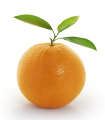 orange on white background