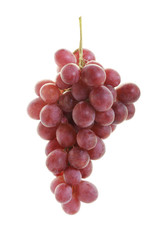 red grape
