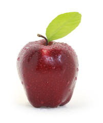 Red apple and white background