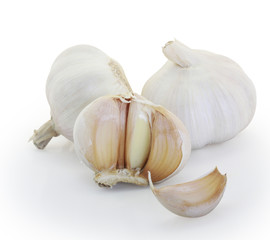 Garlic on a white background