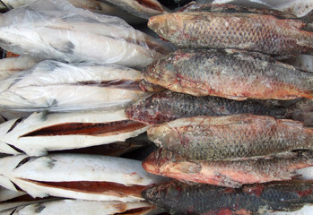 frozen fish
