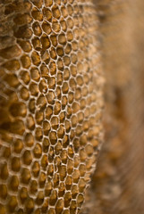 Honeycomb texture background