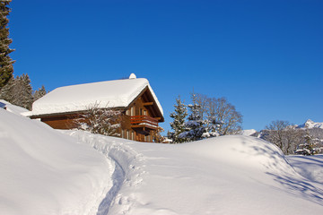 Winter in alps