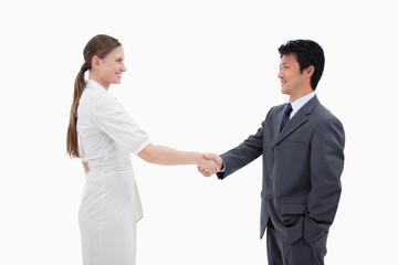 Business people shaking hands