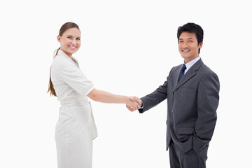 Two business people shaking hands