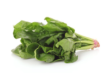 Bunch of spinach isolated on white background