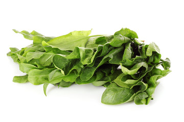Fresh leaves of a sorrel on a white background