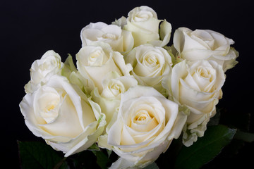 Bouquet of white roses (hybrid tea) over black background