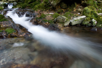 渓谷の水の流れ