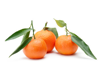 tangerines with foliage, on white background