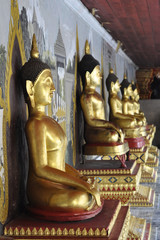 golden buddhas