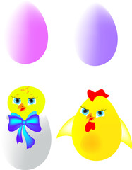Chicks and eggs, vector