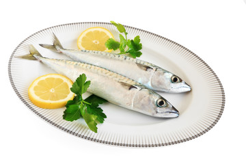 mackerels - sgombri con prezzemolo e limone