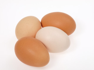 oeufs de poule