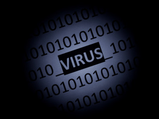 bug - virus