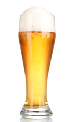 Glass of beer with isolated on white