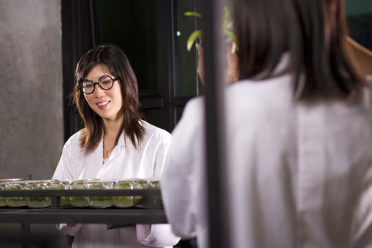 Laboratory girl checking growth level of plants.