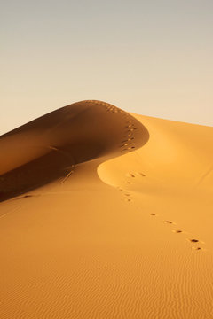 Merzouga desert - Marocco