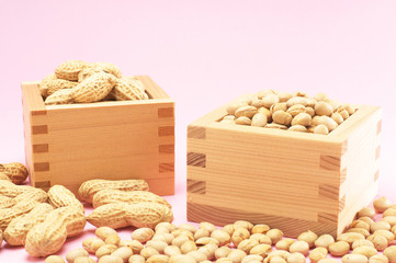 節分の豆ー大豆と落花生・バラ