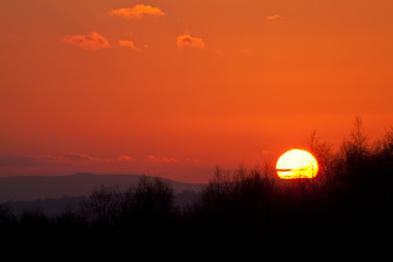 Ashdown Forest Sunset