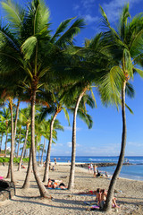 Obraz na płótnie Canvas Stock image of Waikiki Beach, Honolulu, Oahu, Hawaii..