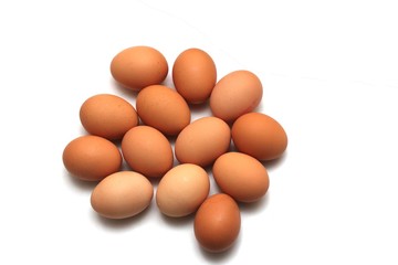 isolated eggs
