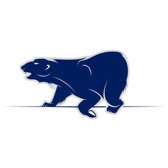 wild bear vector icon