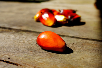 Palms Fruit