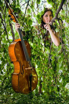 CELLISTIN 4