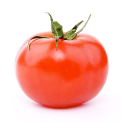 Strauchtomate