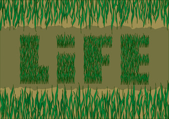 концепция жизни и роста