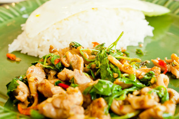 Thai Basil Fried Rice with chicken