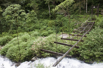 Destroyed bridge in a jungle, Sikkim, India - obrazy, fototapety, plakaty