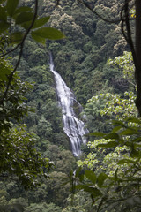 Watefall in Sikkim jungle, India
