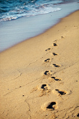 Footprints on sand beach on summer day