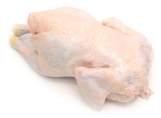 raw chicken © rufar