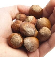 hazelnuts