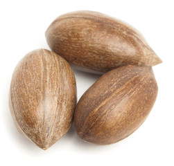 pecan nuts